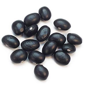 Black Bean