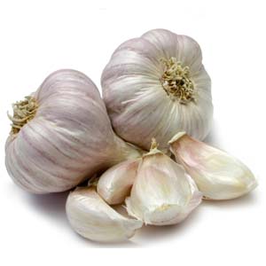 GARLIC