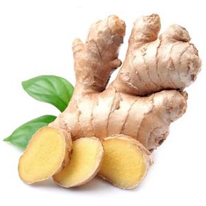 GINGER