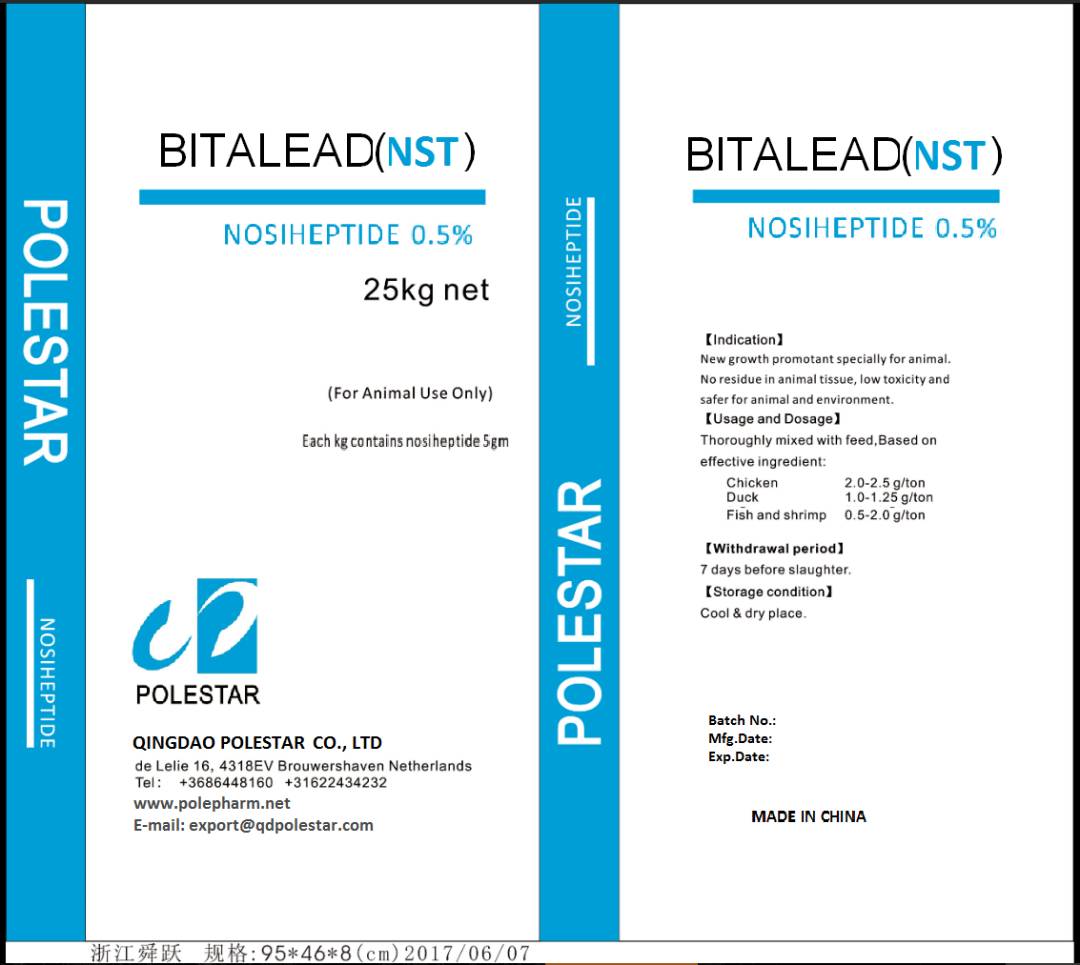 BITALEAD (NST)