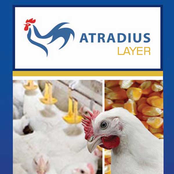 Atradious
