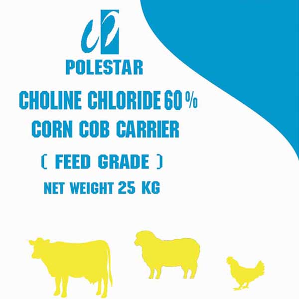 CHOLINE CHLORIDE 60