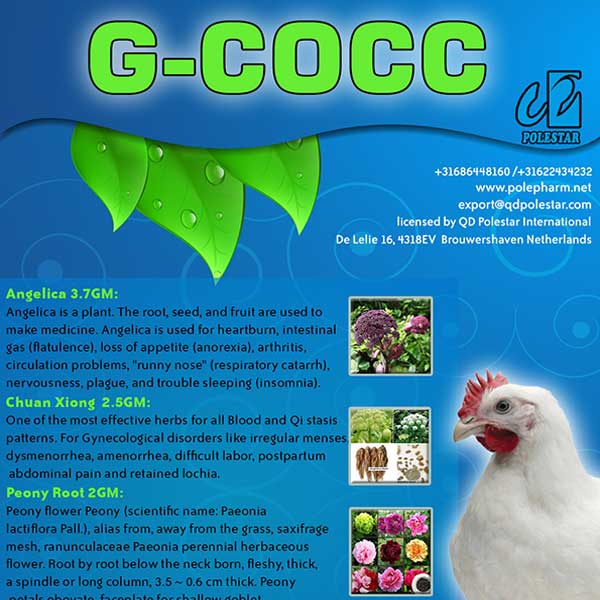 G-COCC