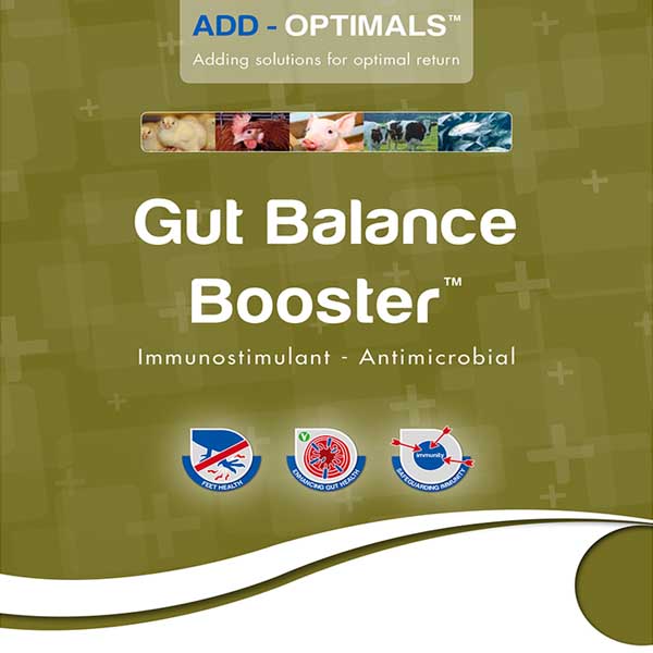 Gut Balance Booster 