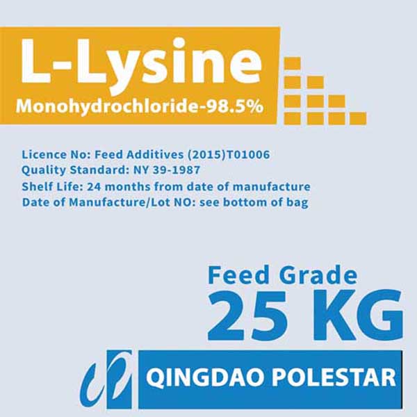 L Lysine