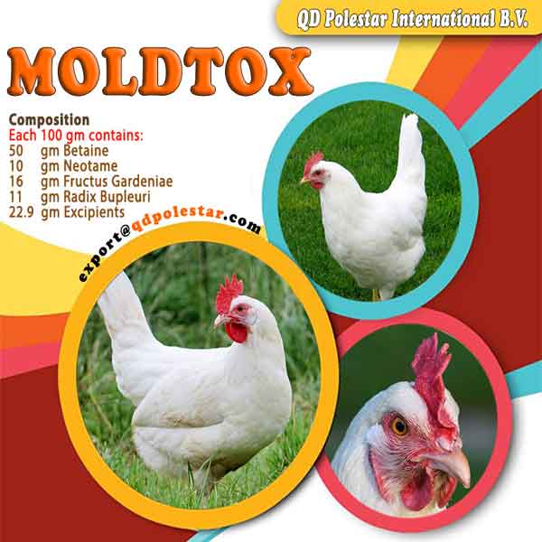 MOLDTOX