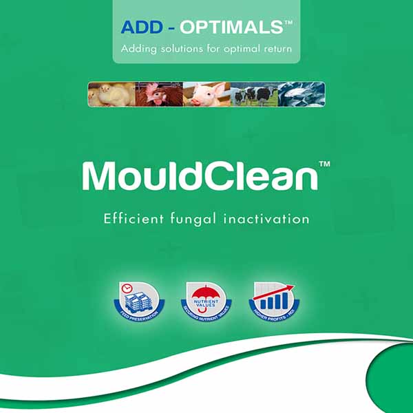 MouldClean
