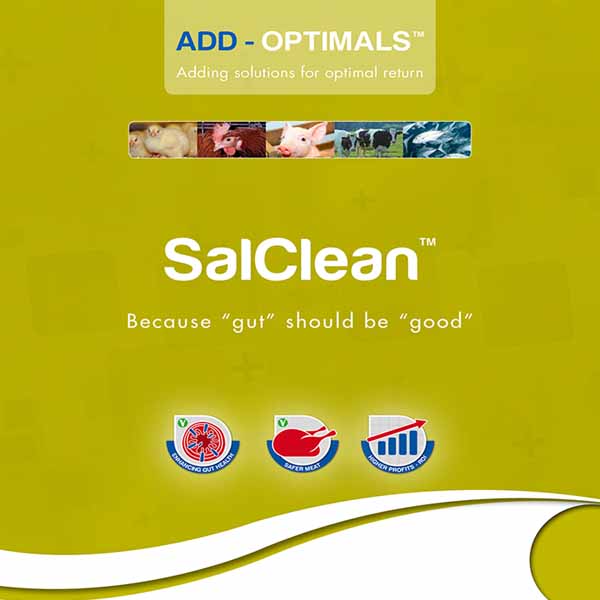 SalClean